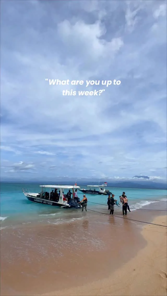 Monday to Sunday, we’re exploring the deep! Join us and explore the underwater world~
.
Dive Nusa Penida & Nusa Lembongan with us🤿💦
More details? Tap Link in Bio!
.
#underwater #watersport #trip #travel #divebali